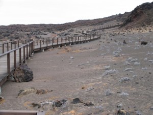 Galapagos Walk